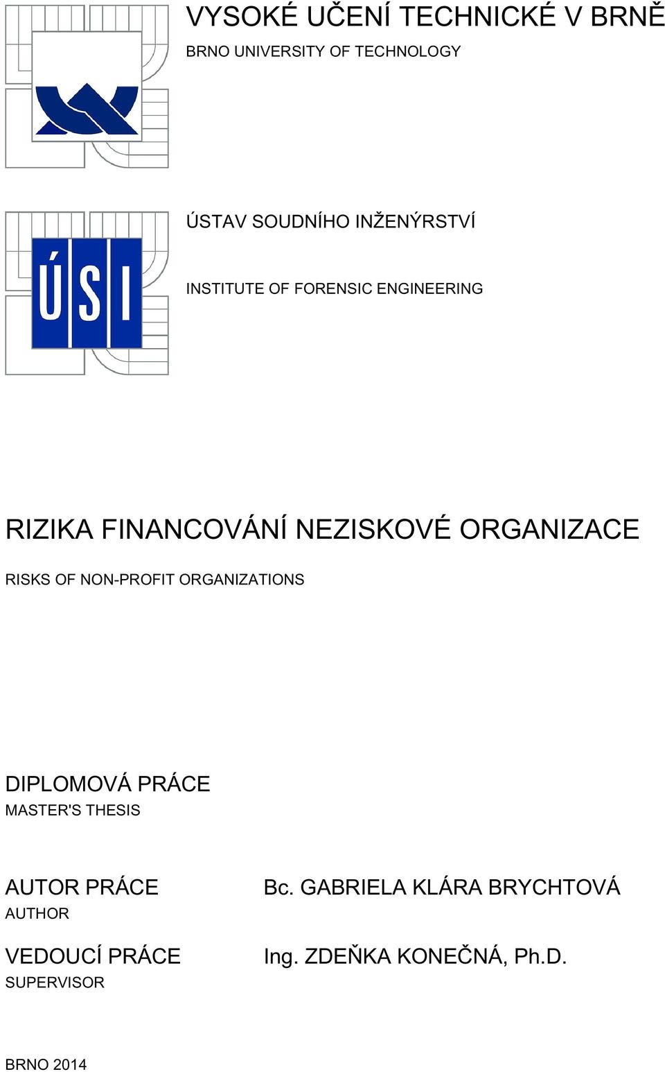 ORGANIZACE RISKS OF NON-PROFIT ORGANIZATIONS DIPLOMOVÁ PRÁCE MASTER'S THESIS AUTOR