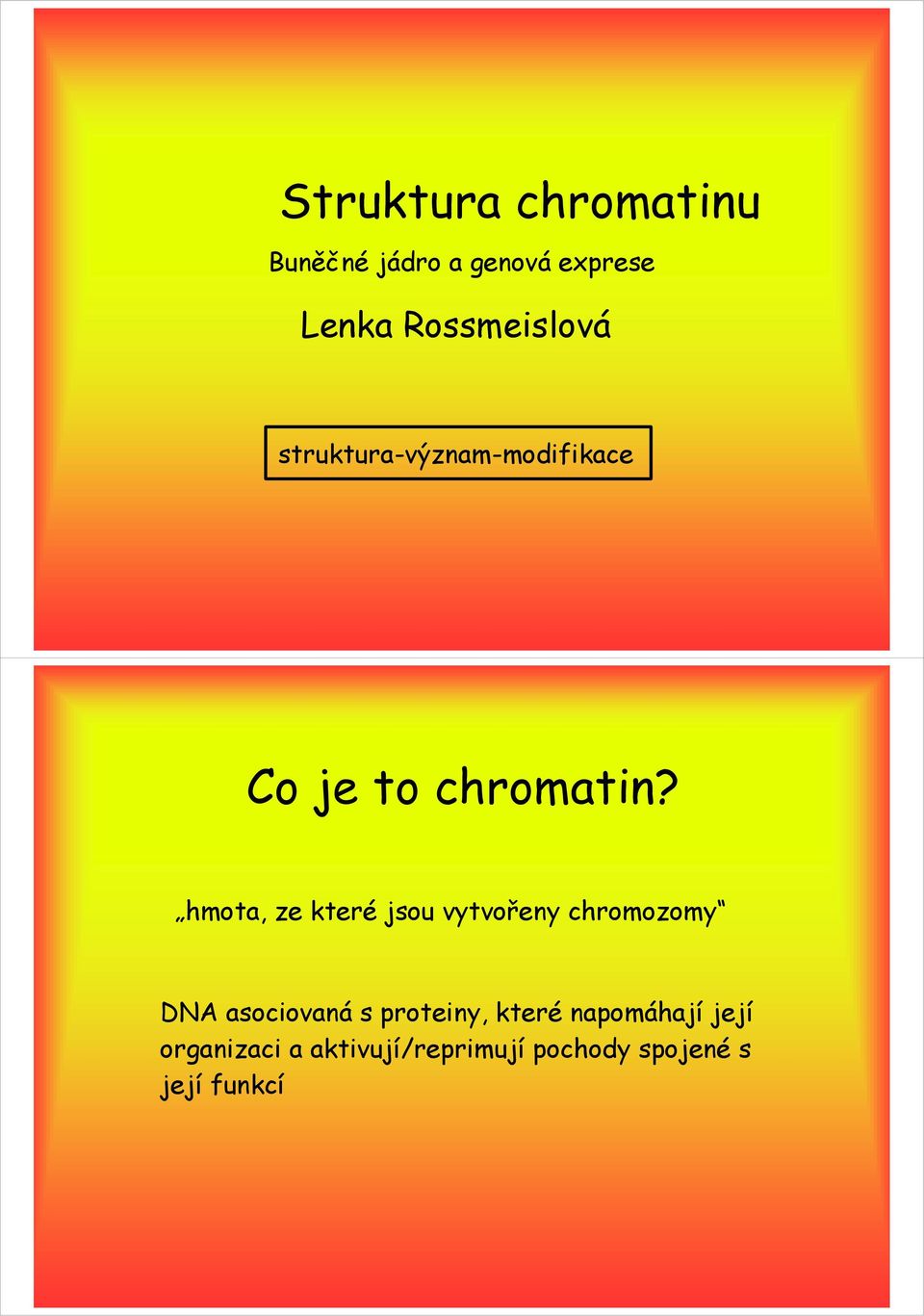 hmota, ze které jsou vytvořeny chromozomy DNA asociovaná s