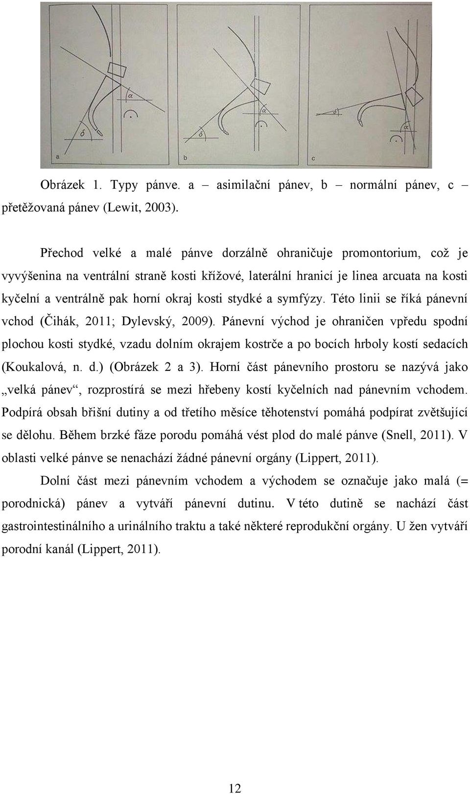 stydké a symfýzy. Této linii se říká pánevní vchod (Čihák, 2011; Dylevský, 2009).