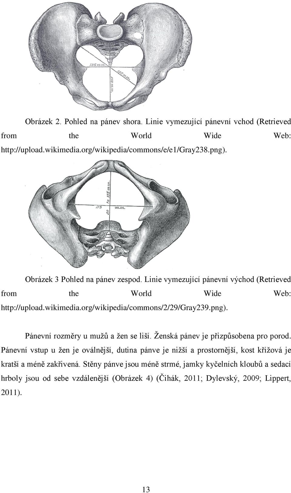 Pánevní rozměry u mužů a žen se liší. Ženská pánev je přizpůsobena pro porod.