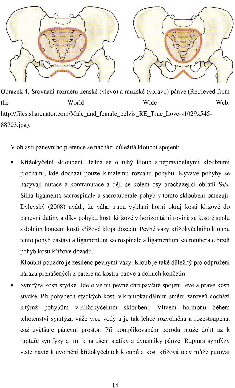 Kývavé pohyby se nazývají nutace a kontranutace a dějí se kolem osy procházející obratli S2/3. Silná ligamenta sacrospinale a sacrotuberale pohyb v tomto skloubení omezují.