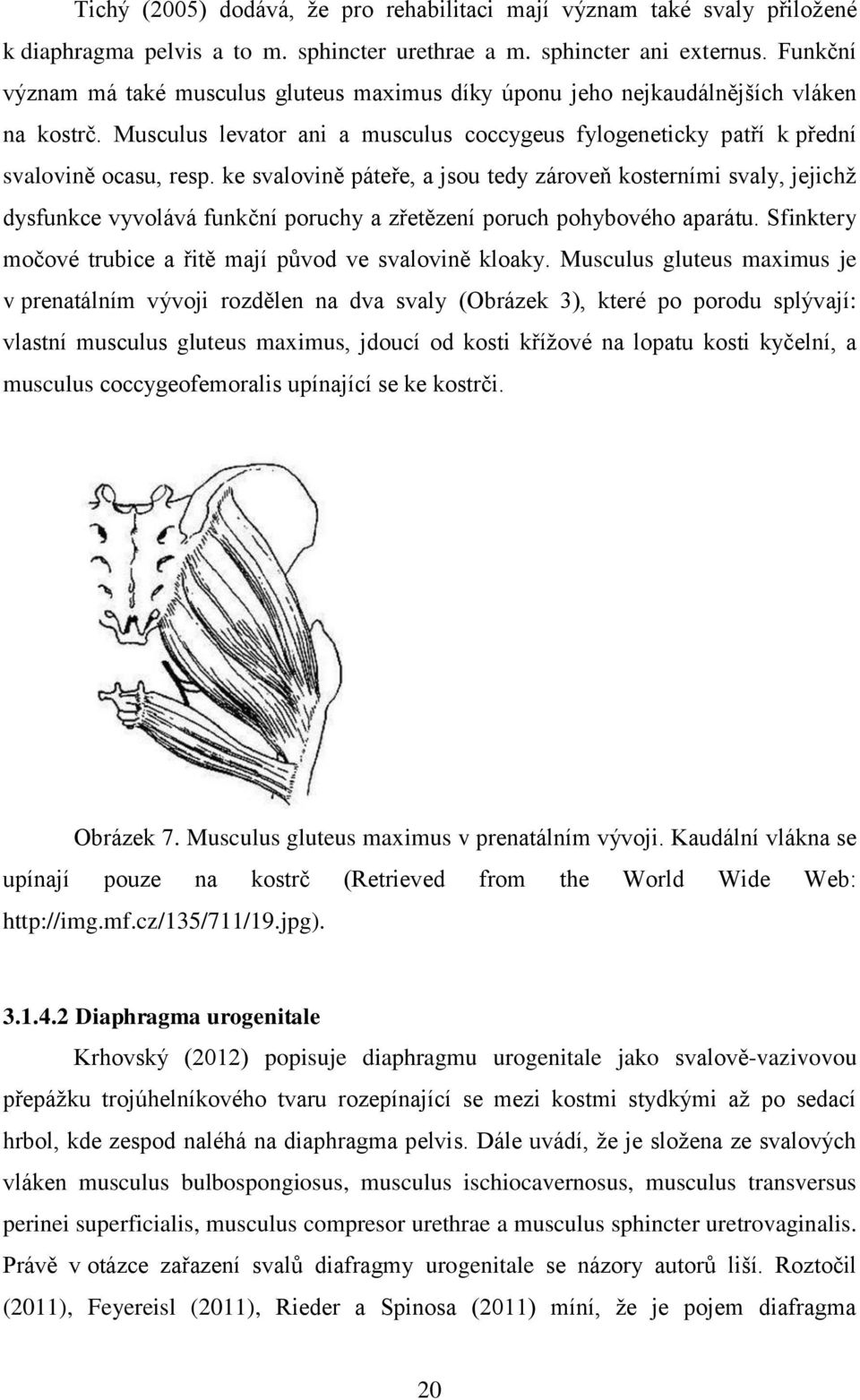 ke svalovině páteře, a jsou tedy zároveň kosterními svaly, jejichž dysfunkce vyvolává funkční poruchy a zřetězení poruch pohybového aparátu.