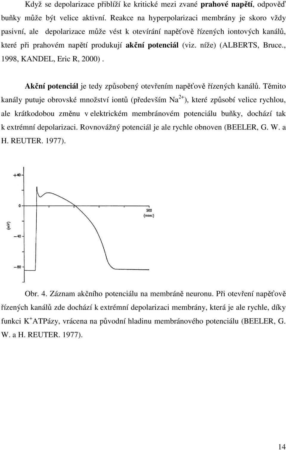 níže) (ALBERTS, Bruce., 1998, KANDEL, Eric R, 2000). Akční potenciál je tedy způsobený otevřením napěťově řízených kanálů.