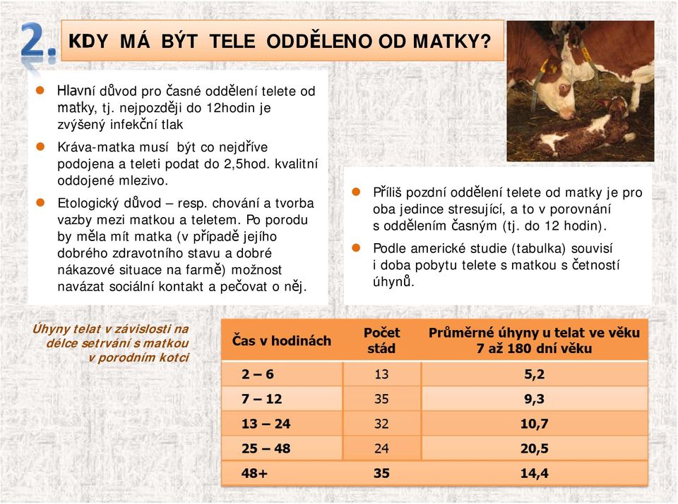 chování a tvorba vazby mezi matkou a teletem.