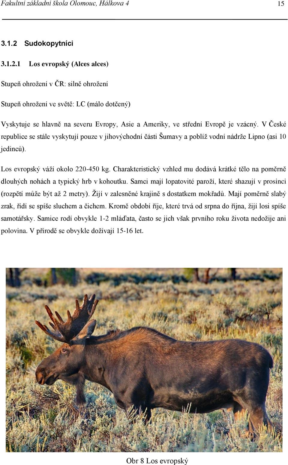 1 Los evropský (Alces alces) Stupeň ohrožení v ČR: silně ohrožení Stupeň ohrožení ve světě: LC (málo dotčený) Vyskytuje se hlavně na severu Evropy, Asie a Ameriky, ve střední Evropě je vzácný.