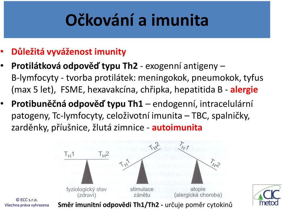 alergie Protibuněčná odpověď typu Th1 endogenní, intracelulární patogeny, Tc-lymfocyty, celoživotní imunita