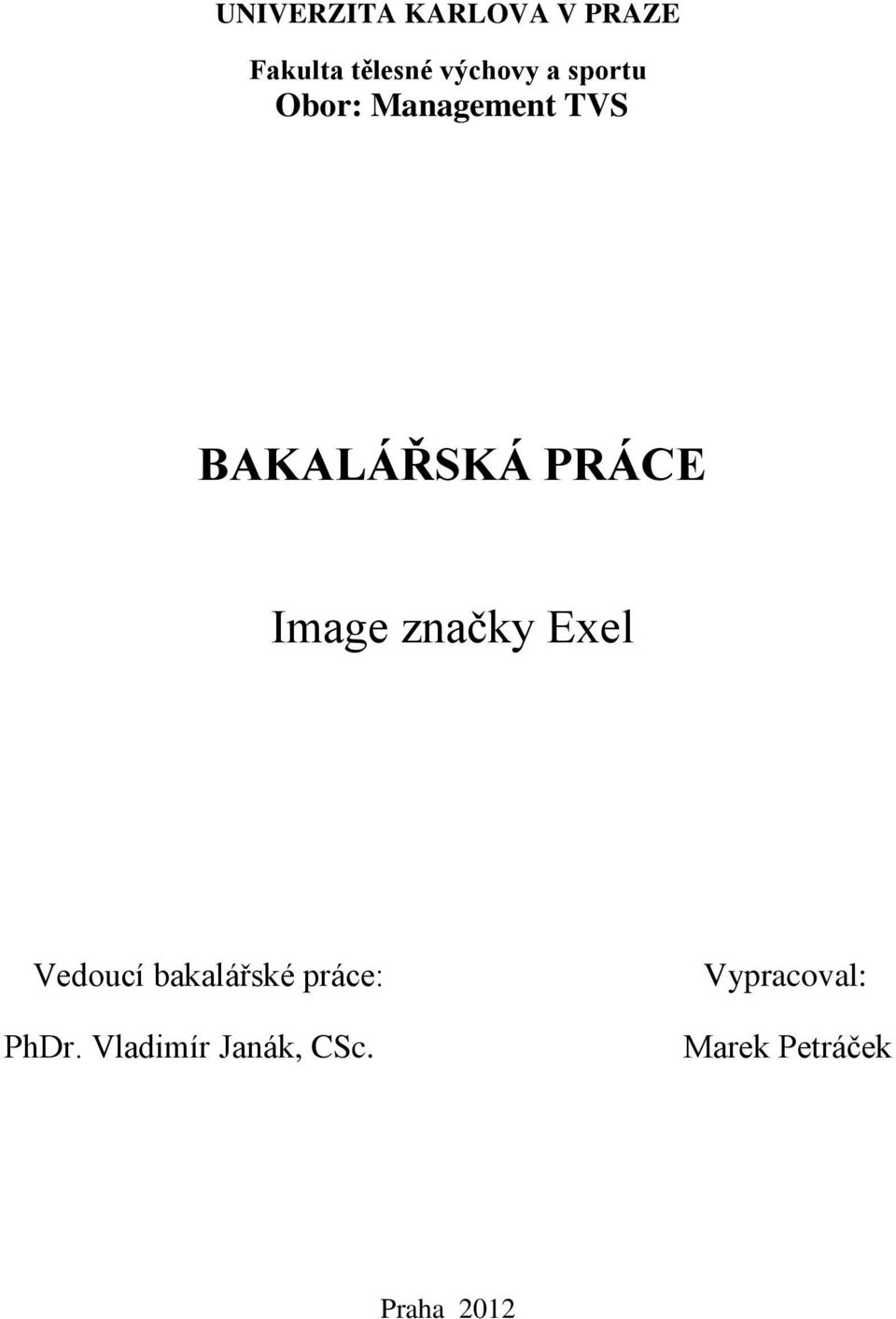 Image značky Exel Vedoucí bakalářské práce: PhDr.