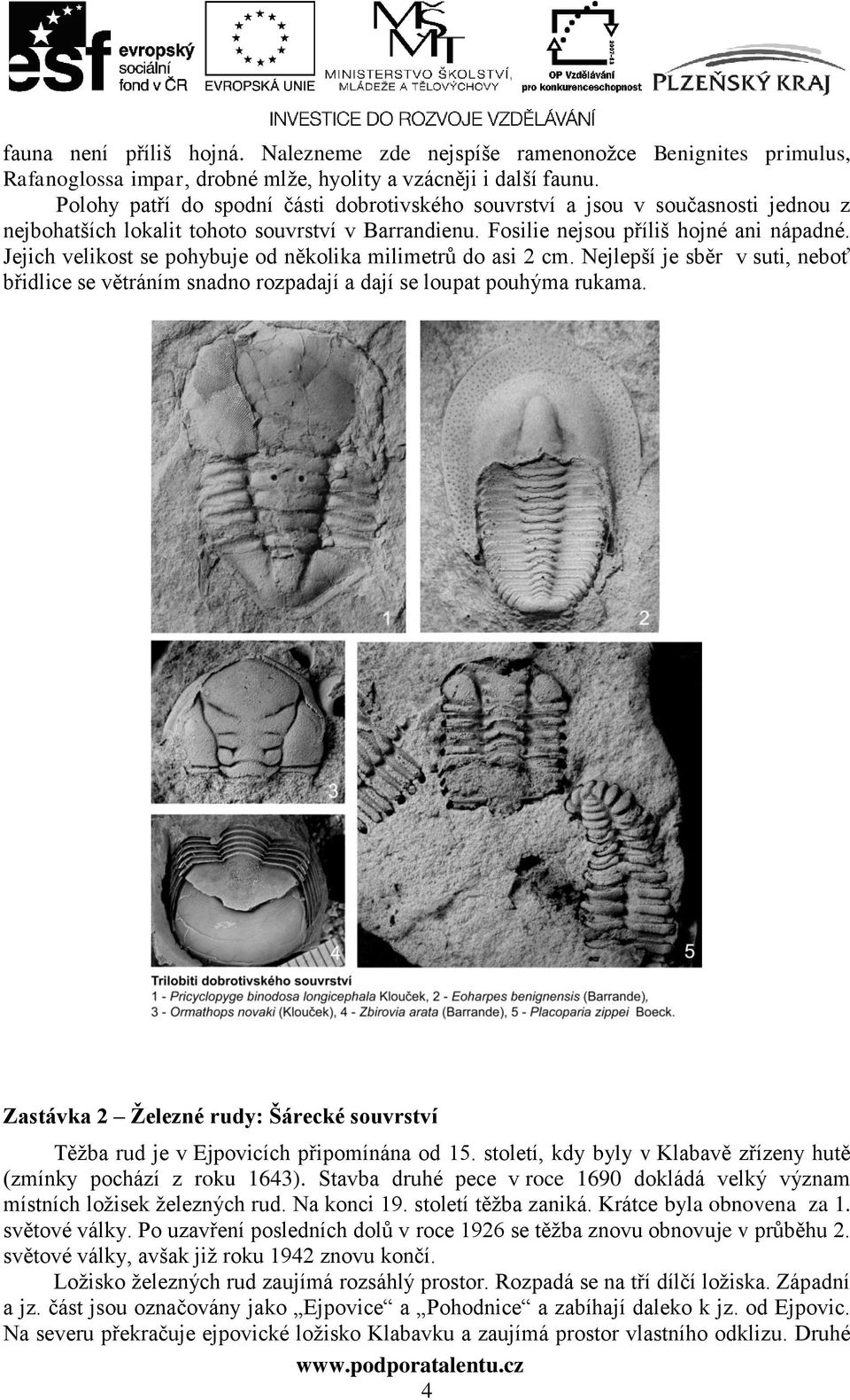 Jejich velikost se pohybuje od několika milimetrů do asi 2 cm. Nejlepší je sběr v suti, neboť břidlice se větráním snadno rozpadají a dají se loupat pouhýma rukama.