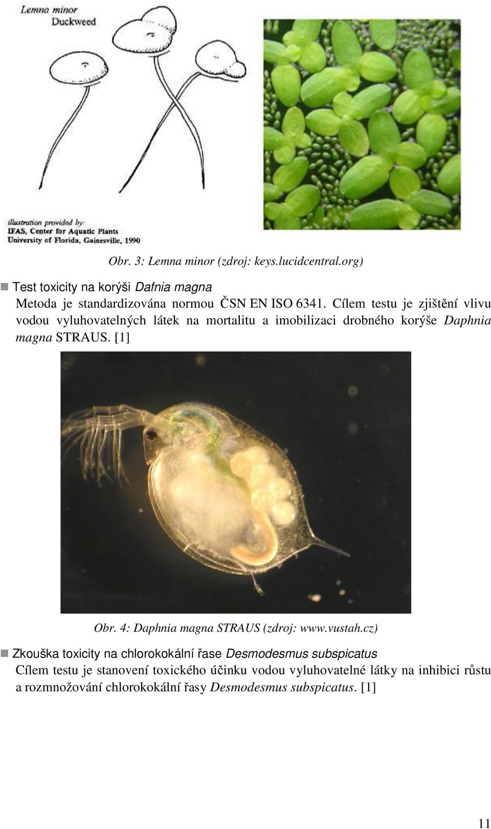 Cílem testu je zjištění vlivu vodou vyluhovatelných látek na mortalitu a imobilizaci drobného korýše Daphnia magna STRAUS. [1] Obr.