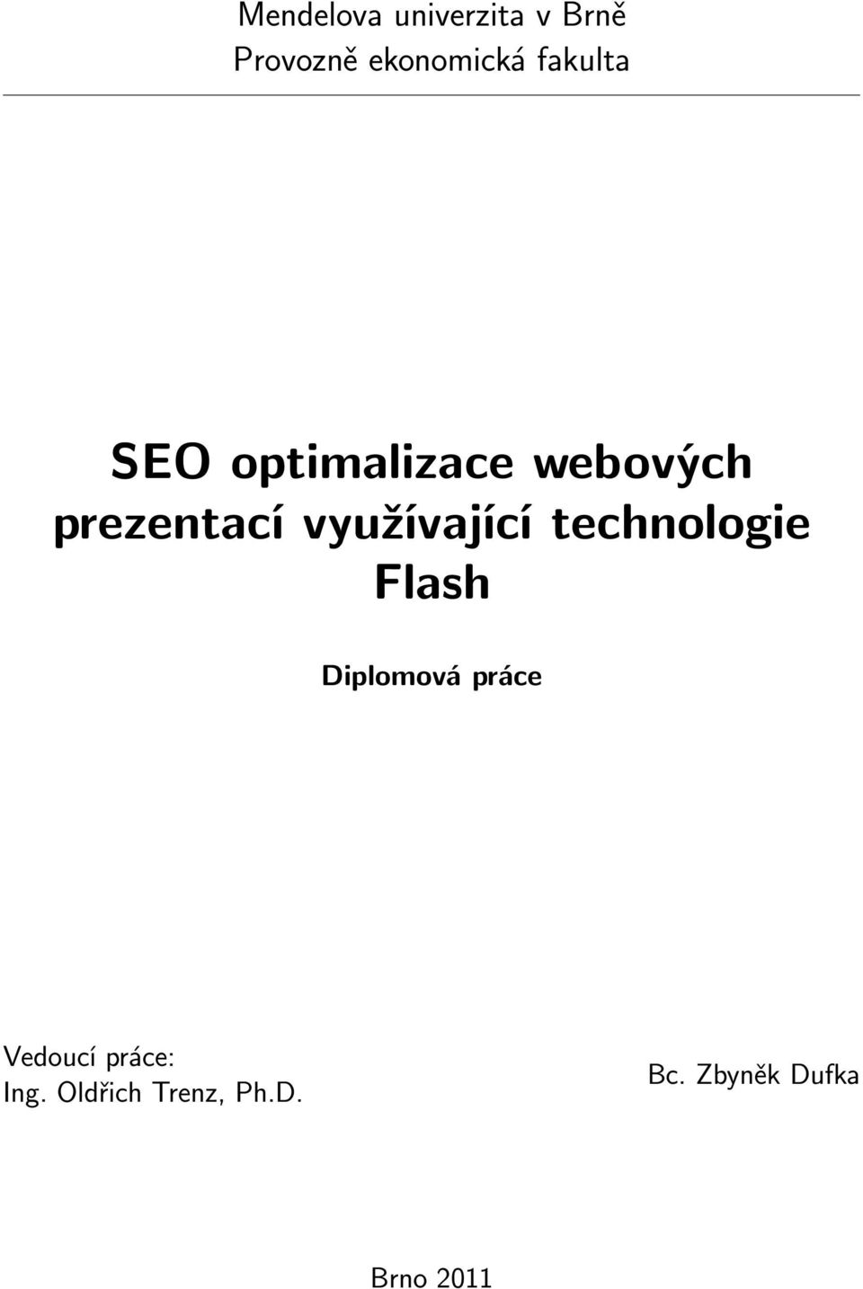 využívající technologie Flash Diplomová práce