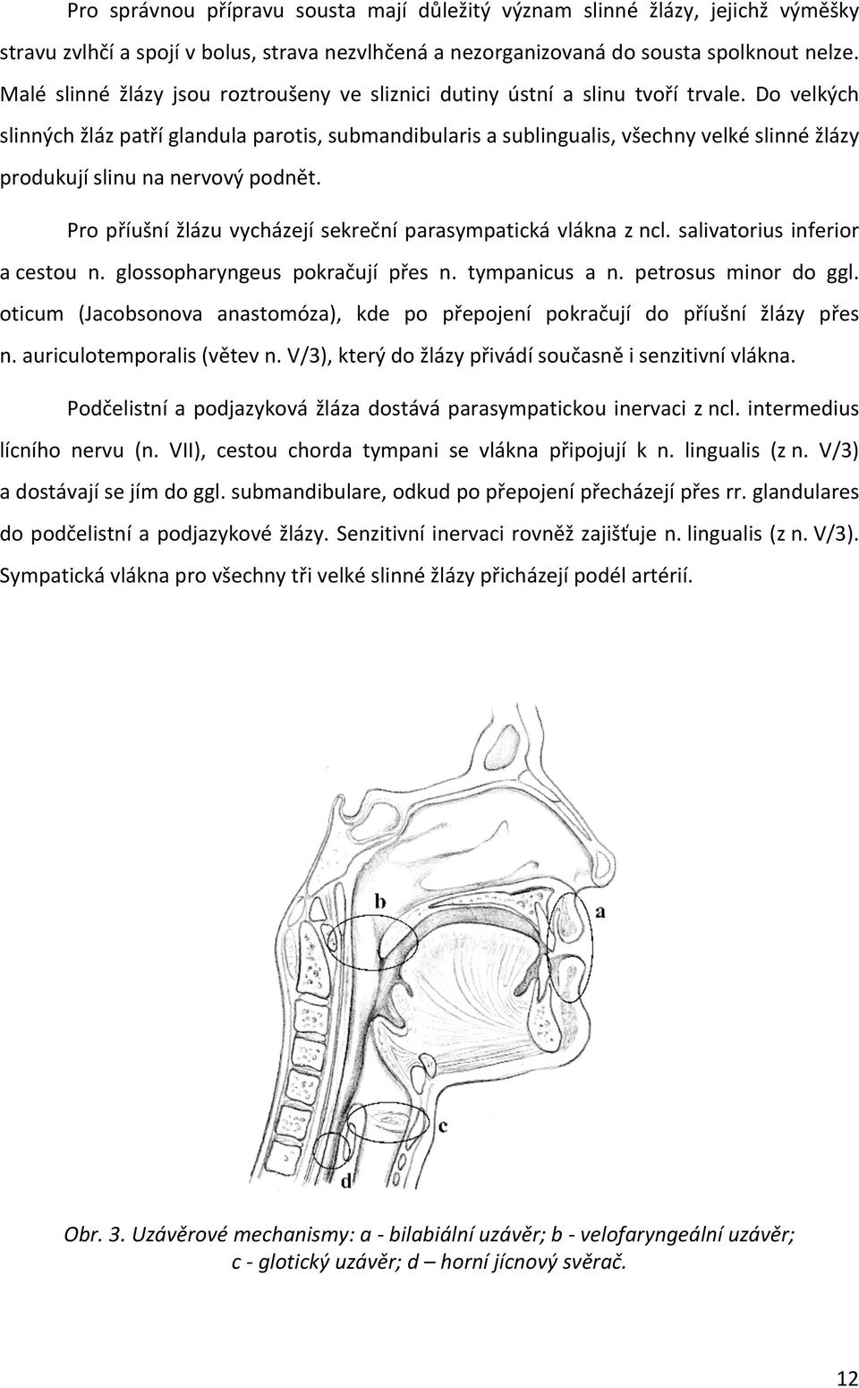 Do velkých slinných žláz patří glandula parotis, submandibularis a sublingualis, všechny velké slinné žlázy produkují slinu na nervový podnět.