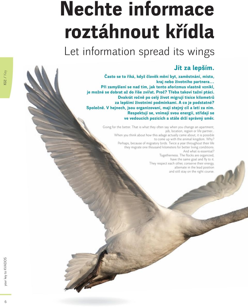 Třeba takoví tažní ptáci. Dvakrát ročně po celý život migrují tisíce kilometrů za lepšími životními podmínkami. A co je podstatné? Společně.