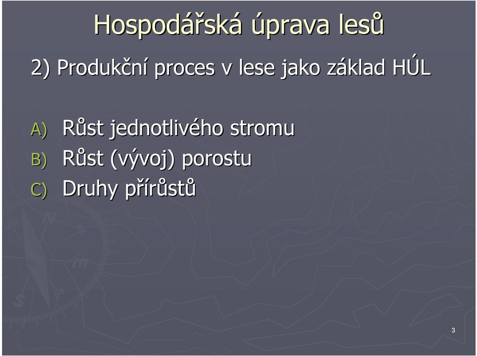 z HÚLH A) Růst jednotlivého stromu