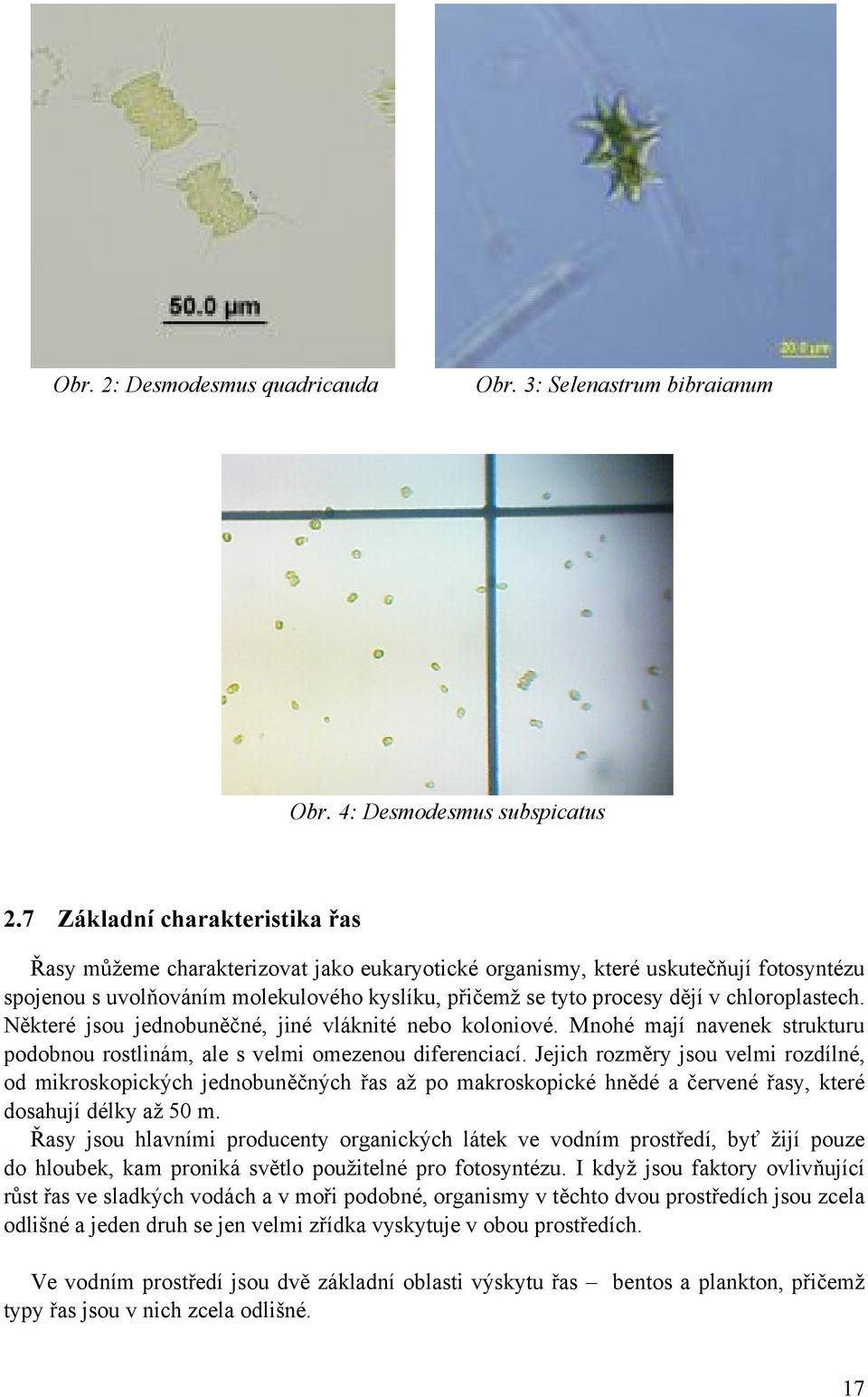 chloroplastech. Některé jsou jednobuněčné, jiné vláknité nebo koloniové. Mnohé mají navenek strukturu podobnou rostlinám, ale s velmi omezenou diferenciací.