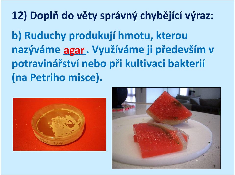 agar Využíváme ji především v potravinářství