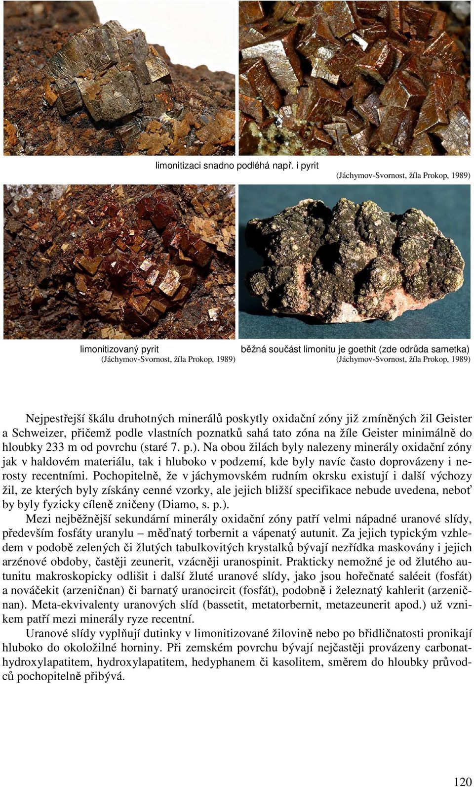 1989) Nejpestřejší škálu druhotných minerálů poskytly oxidační zóny již zmíněných žil Geister a Schweizer, přičemž podle vlastních poznatků sahá tato zóna na žíle Geister minimálně do hloubky 233 m