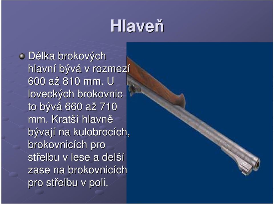 Kratší hlavně bývají na kulobrocích, brokovnicích pro