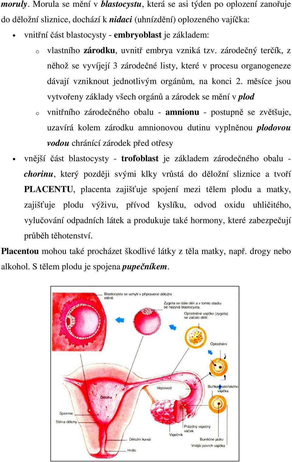 vlastního zárodku, uvnitř embrya vzniká tzv. zárodečný terčík, z něhož se vyvíjejí 3 zárodečné listy, které v procesu organogeneze dávají vzniknout jednotlivým orgánům, na konci 2.