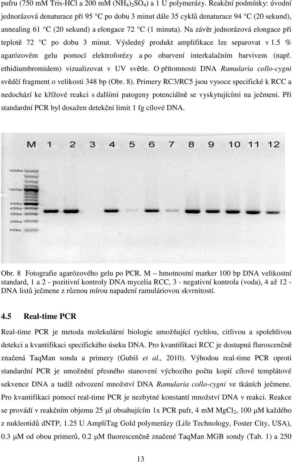 Na závěr jednorázová elongace při teplotě 72 C po dobu 3 minut. Výsledný produkt amplifikace lze separovat v 1.5 % agarózovém gelu pomocí elektroforézy a po obarvení interkalačním barvivem (např.