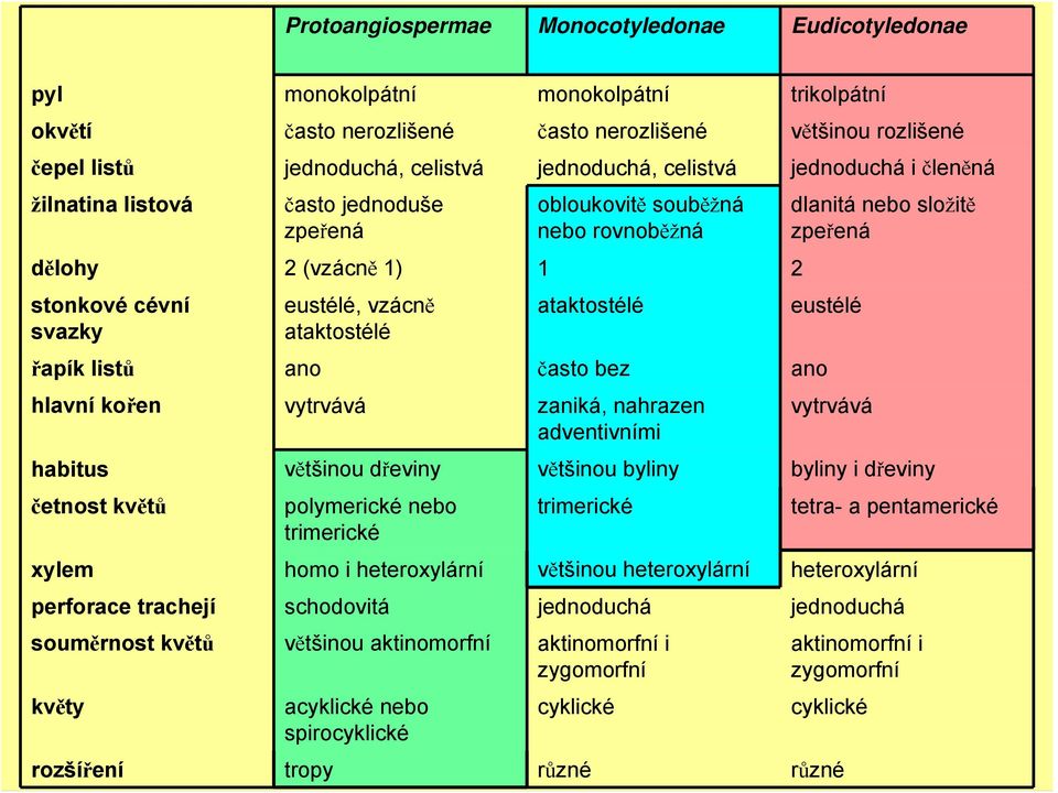 rozlišené čepel listů jednoduchá, celistvá jednoduchá, celistvá jednoduchá i členěná žilnatina listová často jednoduše obloukovitě souběžná dlanitánebosložitě dělohy 2 (vzácně 1) 1 2 zpeřená nebo