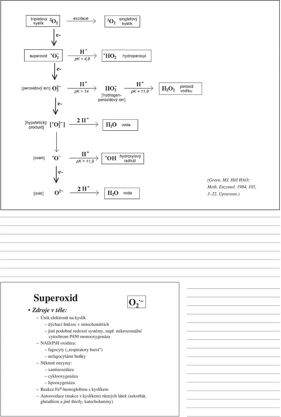 např. mikrozomální cytochrom P450 monooxygenáza NAD(P)H oxidáza: fagocyty ( respiratory burst ) nefagocytární buňky