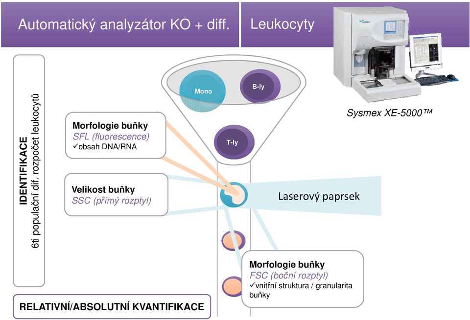 rozpočet leukocytů Morfologie buňky SFL (fluorescence) obsah DNA/RNA Velikost