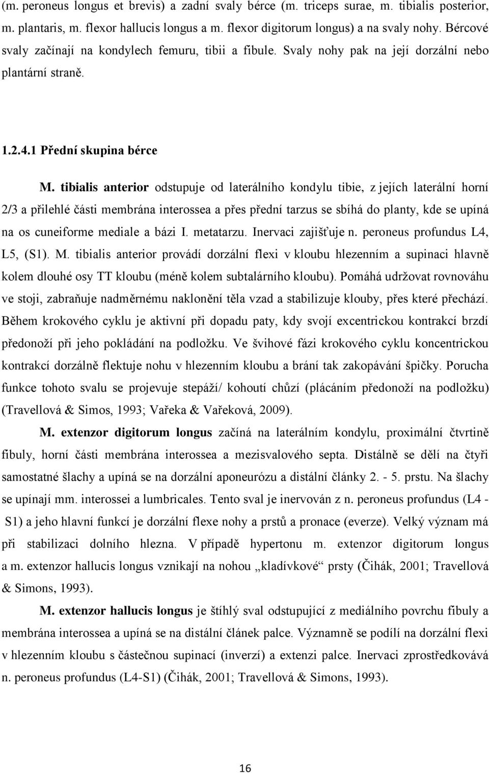 tibialis anterior odstupuje od laterálního kondylu tibie, z jejích laterální horní 2/3 a přilehlé části membrána interossea a přes přední tarzus se sbíhá do planty, kde se upíná na os cuneiforme