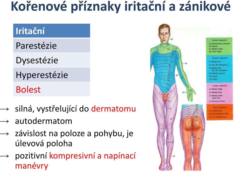 vystřelující do dermatomu autodermatom závislost na