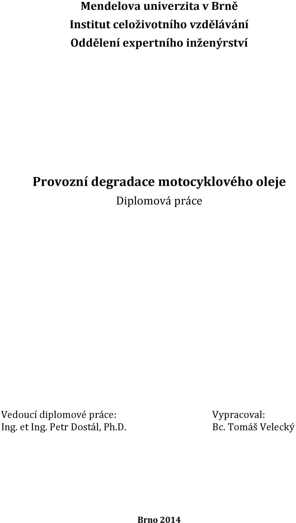 motocyklového oleje Diplomová práce Vedoucí diplomové práce: