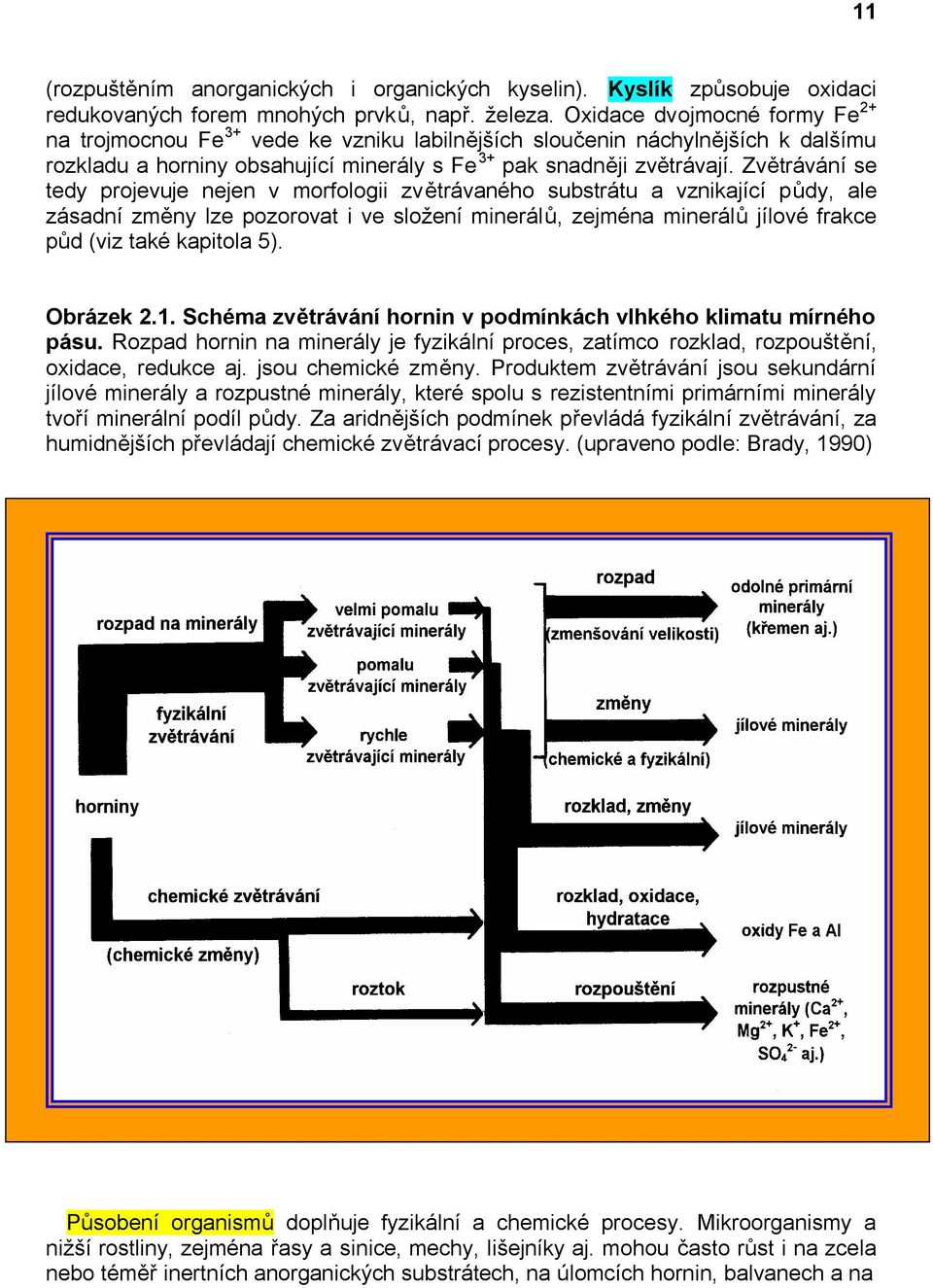 Zvětrávání se tedy projevuje nejen v morfologii zvětrávaného substrátu a vznikající půdy, ale zásadní změny lze pozorovat i ve složení minerálů, zejména minerálů jílové frakce půd (viz také kapitola