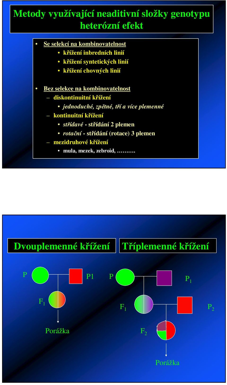 jednoduché, zptné, tí a více plemenné kontinuitní kížení stídavé - stídání 2 plemen rotaní - stídání (rotace)