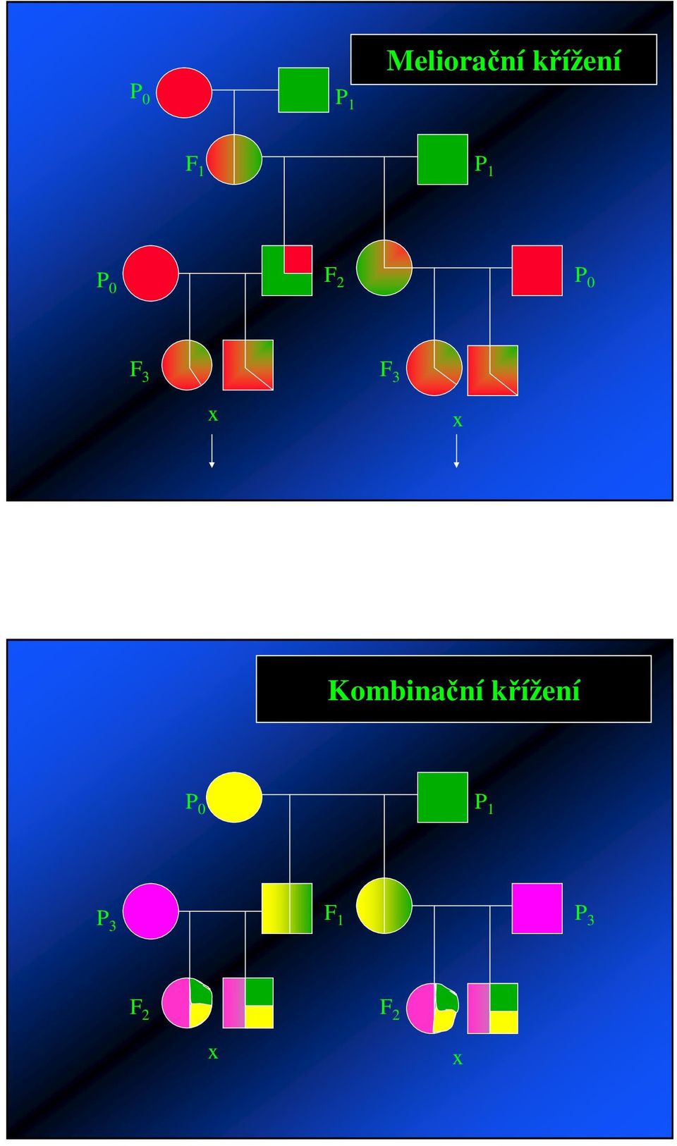 x x Kombinaní