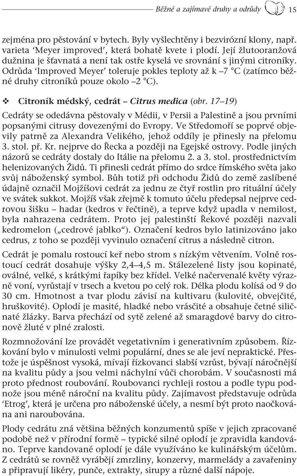 Citroník médský, cedrát Citrus medica (obr. 17 19) Cedráty se odedávna pěstovaly v Médii, v Persii a Palestině a jsou prvními popsanými citrusy dovezenými do Evropy.