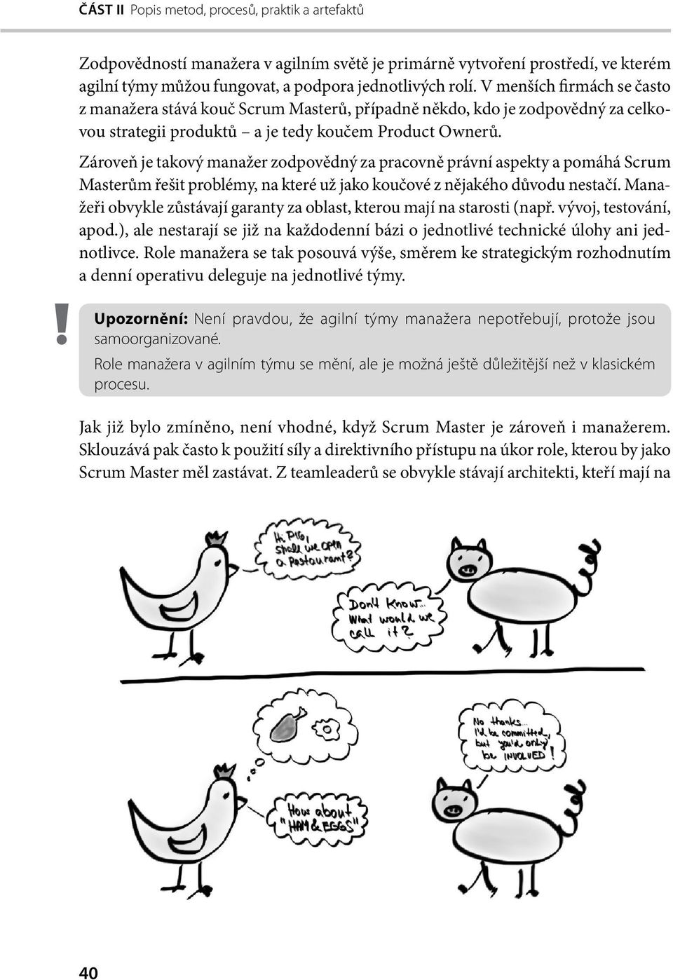 Zároveň je takový manažer zodpovědný za pracovně právní aspekty a pomáhá Scrum Masterům řešit problémy, na které už jako koučové z nějakého důvodu nestačí.