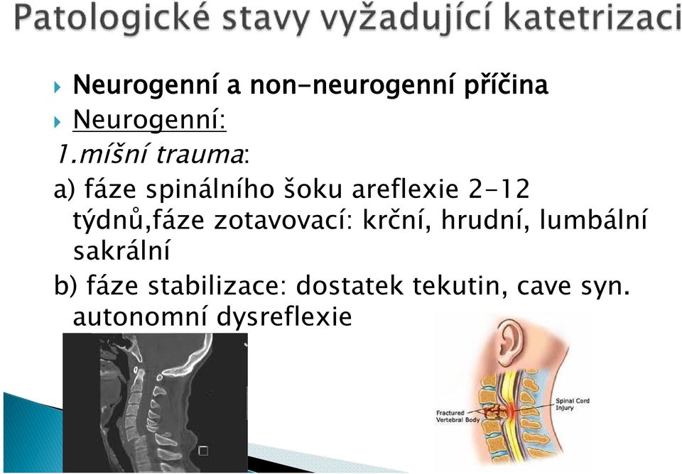 týdnů,fáze zotavovací: krční, hrudní, lumbální sakrální