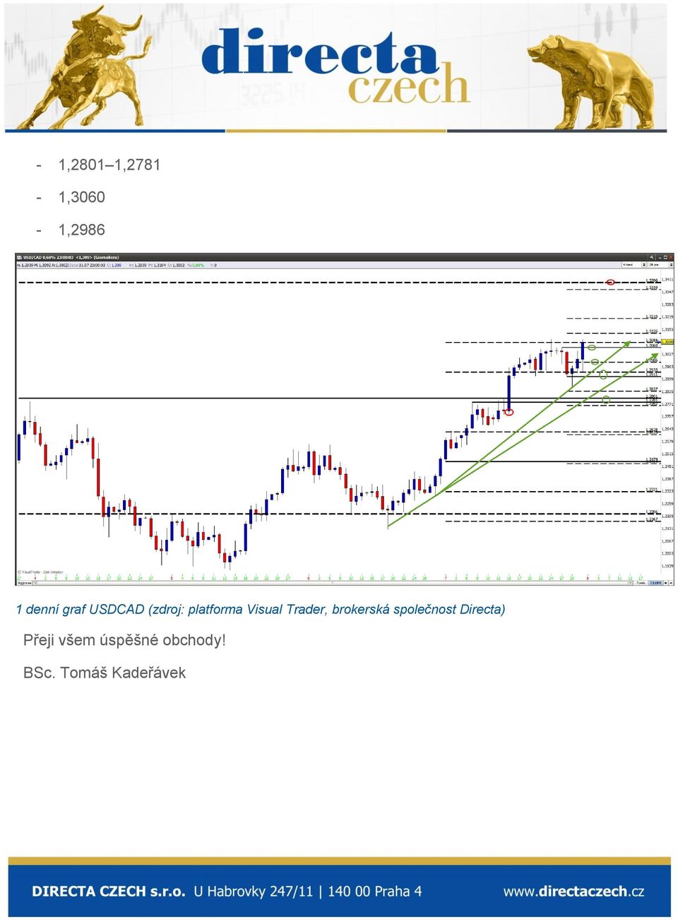 Trader, brokerská společnost Directa)