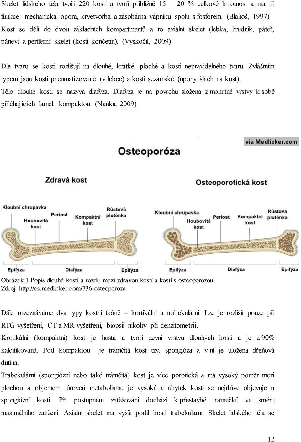 (Vyskočil, 2009) Dle tvaru se kosti rozlišují na dlouhé, krátké, ploché a kosti nepravidelného tvaru. Zvláštním typem jsou kosti pneumatizované (v lebce) a kosti sezamské (úpony šlach na kost).