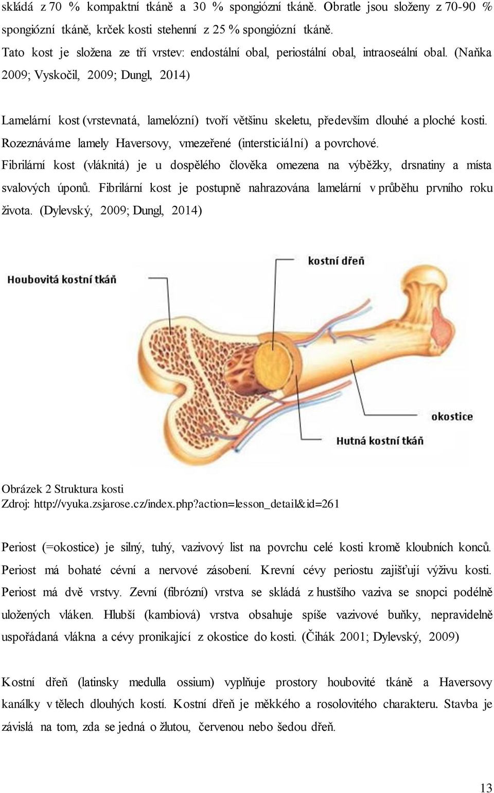 (Naňka 2009; Vyskočil, 2009 Dungl, 2014) Lamelární kost (vrstevnatá, lamelózní) tvoří většinu skeletu, především dlouhé a ploché kosti.