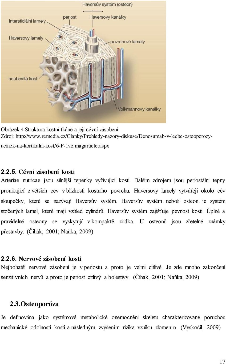 Haversovy lamely vytvářejí okolo cév sloupečky, které se nazývají Haversův systém. Haversův systém neboli osteon je systém stočených lamel, které mají vzhled cylindrů.