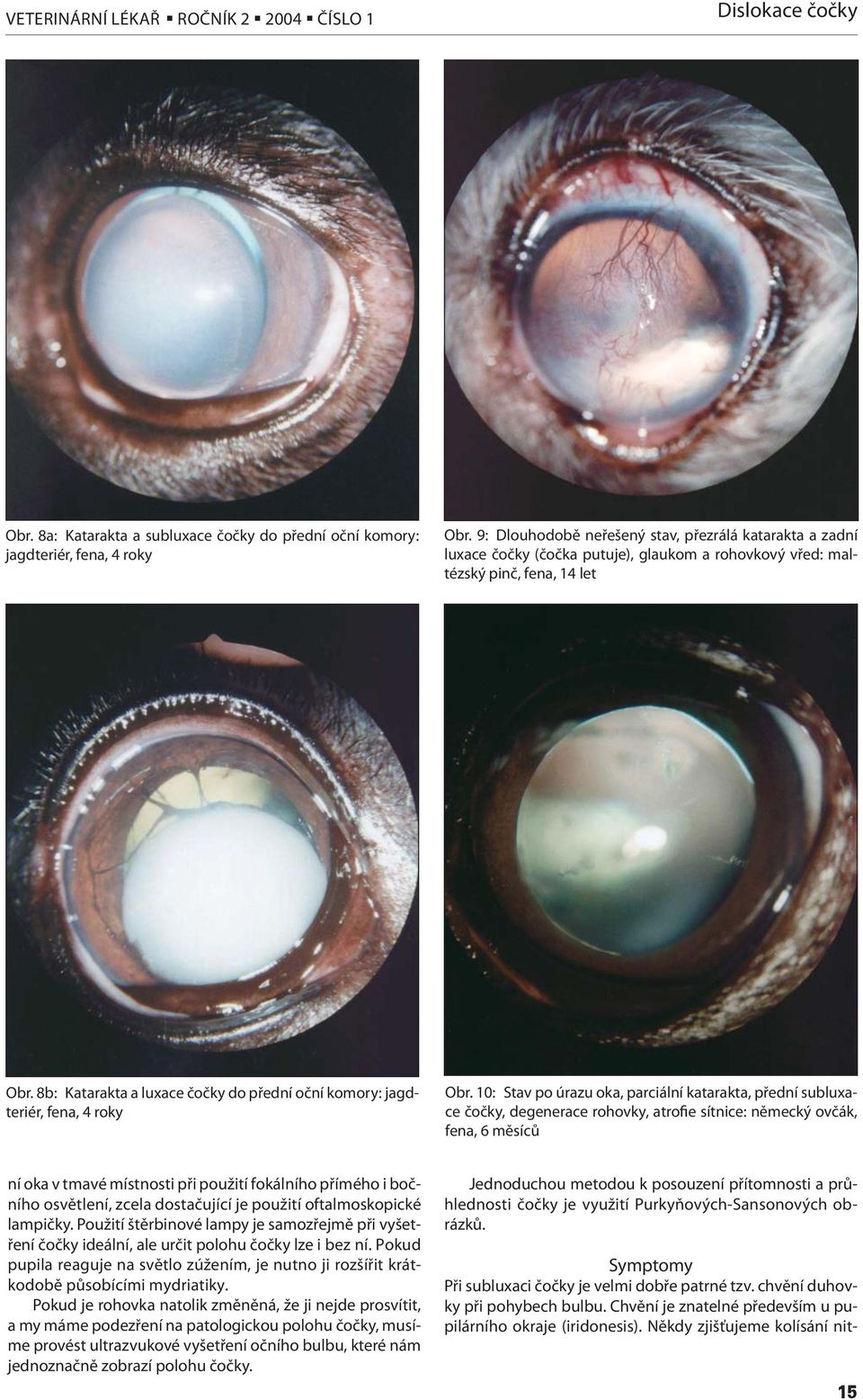 8b: Katarakta a luxace čočky do přední oční komory: jagdteriér, fena, 4 roky Obr.