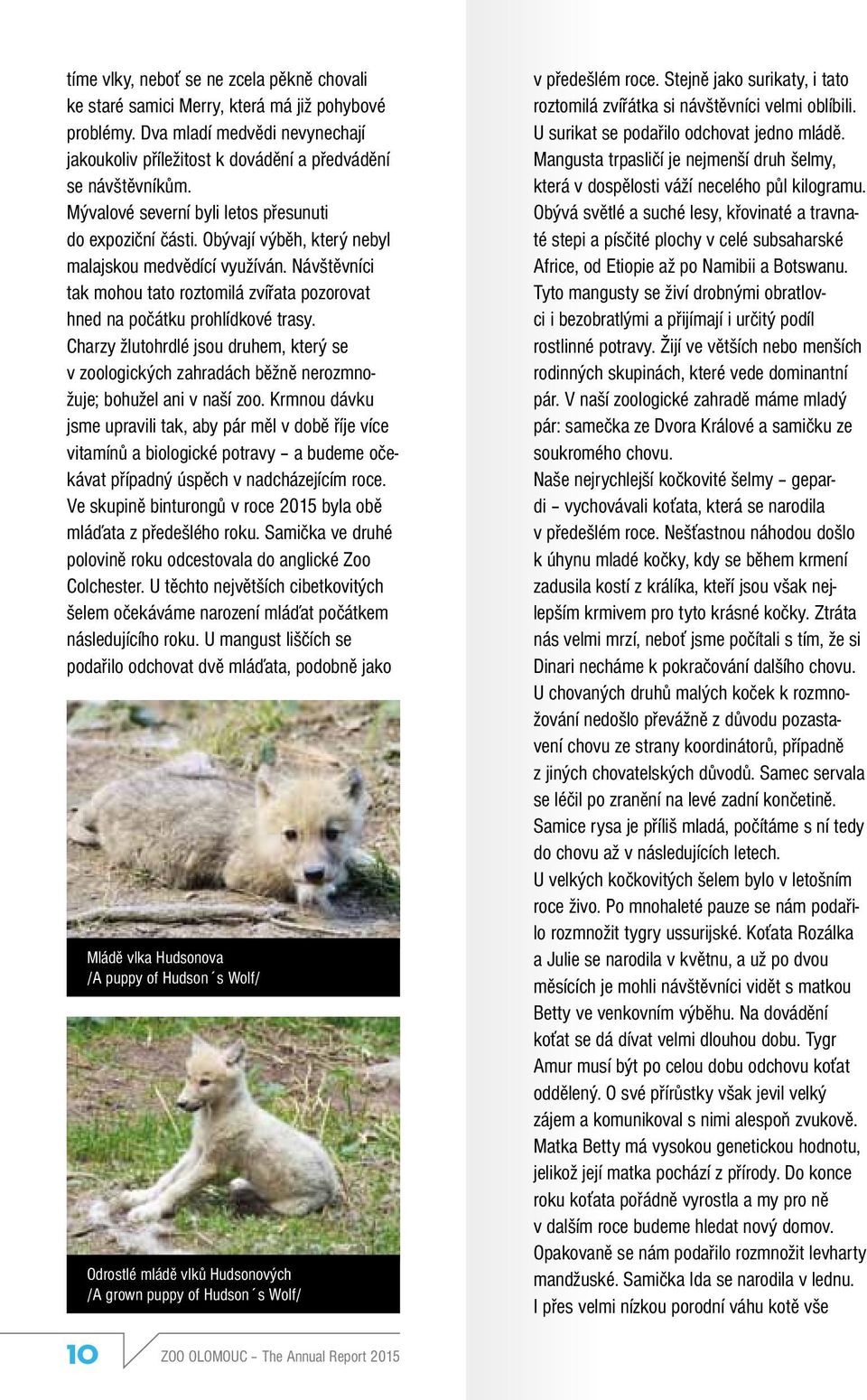 Návštěvníci tak mohou tato roztomilá zvířata pozorovat hned na počátku prohlídkové trasy. Charzy žlutohrdlé jsou druhem, který se v zoologických zahradách běžně nerozmnožuje; bohužel ani v naší zoo.