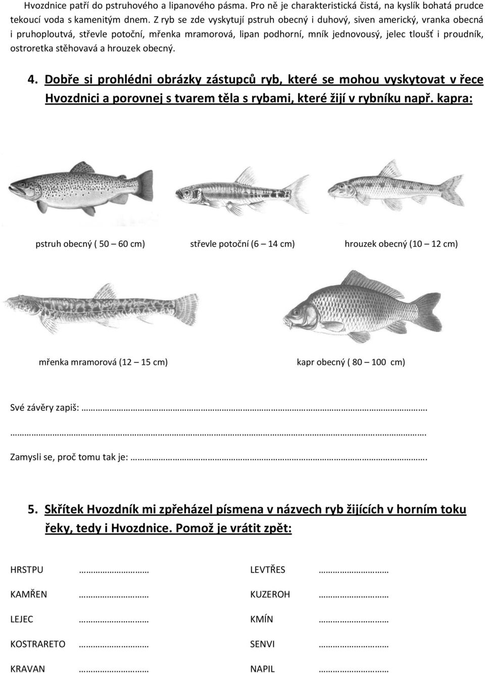 stěhovavá a hrouzek obecný. 4. Dobře si prohlédni obrázky zástupců ryb, které se mohou vyskytovat v řece Hvozdnici a porovnej s tvarem těla s rybami, které žijí v rybníku např.