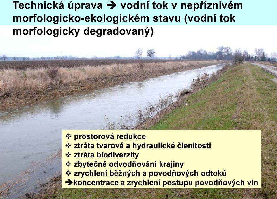 hydraulické členitosti ztráta biodiverzity zbytečné odvodňování krajiny