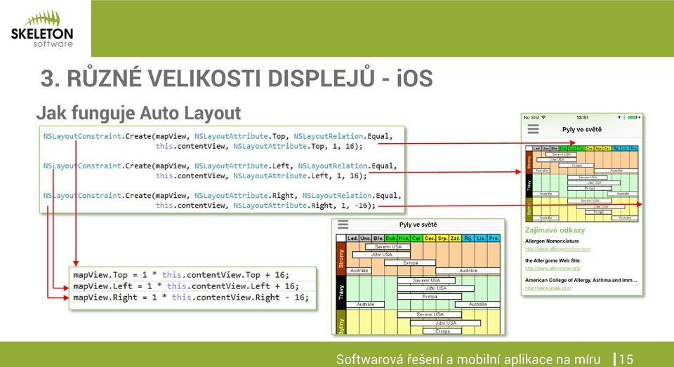 Auto Layout Softwarová