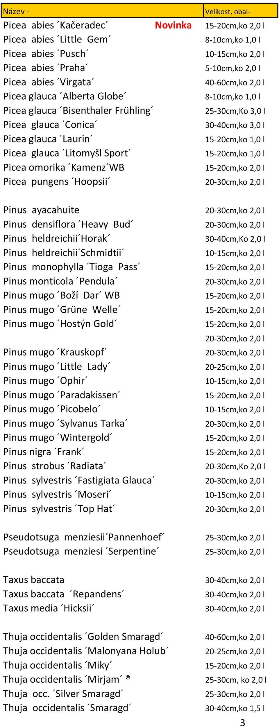 densiflora Heavy Bud Pinus heldreichii Horak Pinus heldreichii Schmidtii Pinus monophylla Tioga Pass Pinus monticola Pendula Pinus mugo Boľí Dar WB Pinus mugo Grüne Welle Pinus mugo Hostýn Gold Pinus