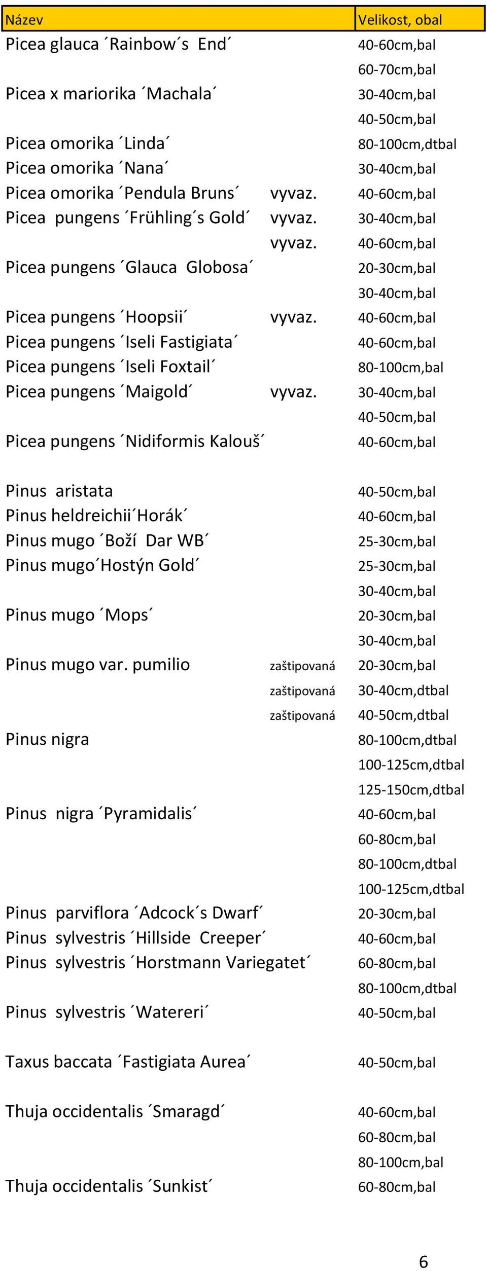 Picea pungens Iseli Fastigiata Picea pungens Iseli Foxtail Picea pungens Maigold vyvaz.