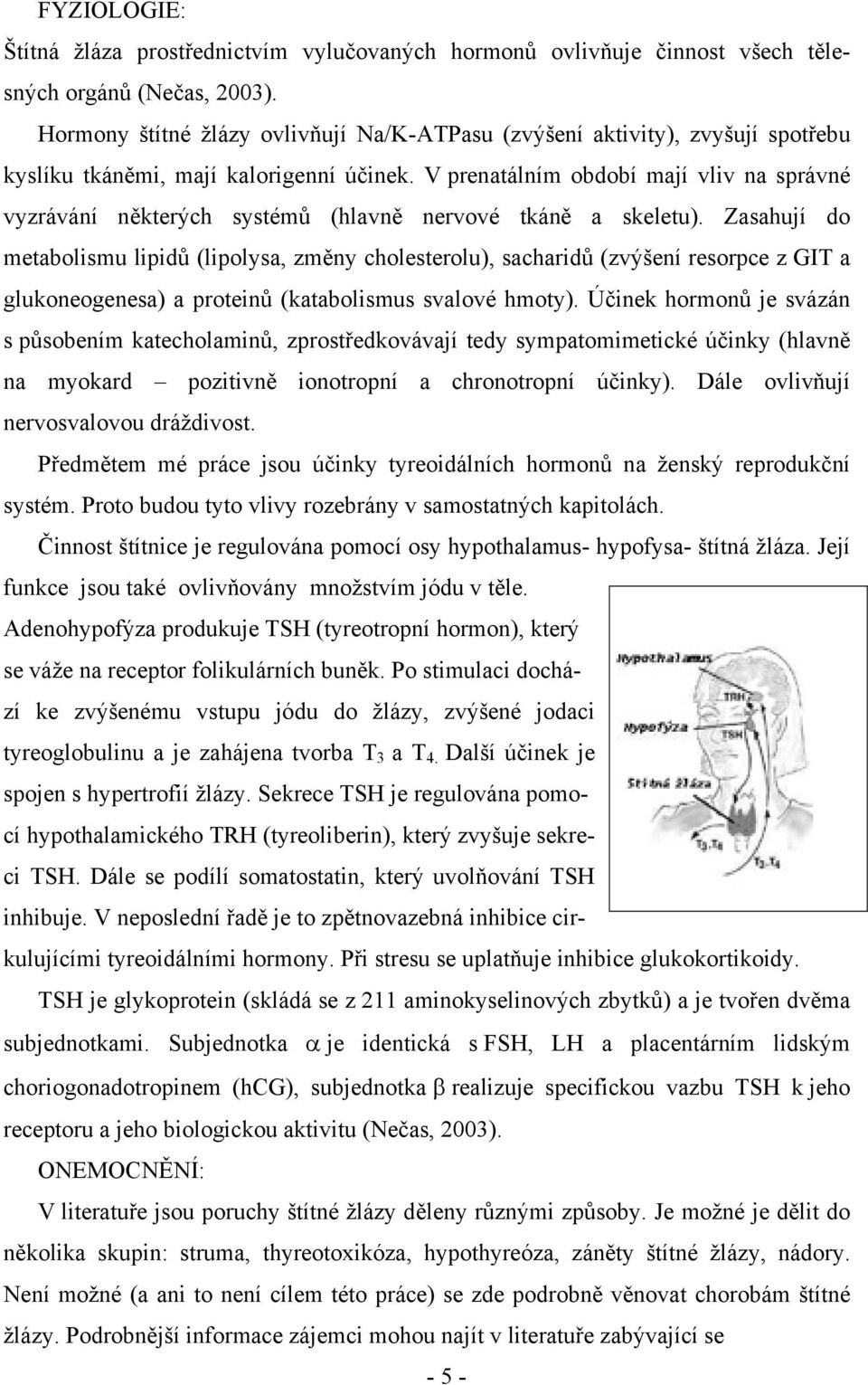 V prenatálním období mají vliv na správné vyzrávání některých systémů (hlavně nervové tkáně a skeletu).