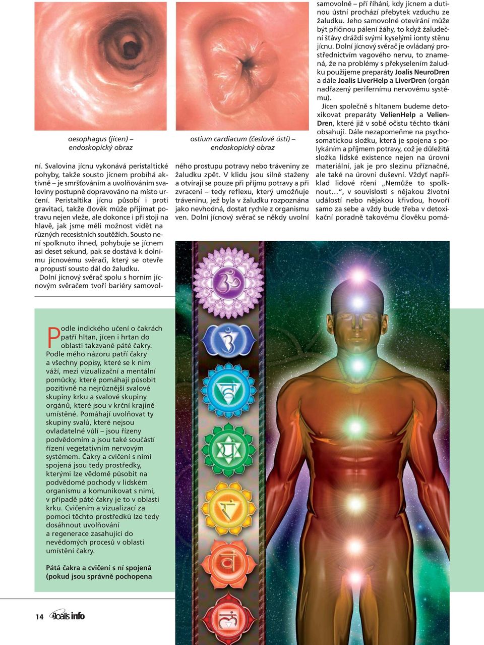 Peristaltika jícnu působí i proti gravitaci, takže člověk může přijímat potravu nejen vleže, ale dokonce i při stoji na hlavě, jak jsme měli možnost vidět na různých recesistních soutěžích.