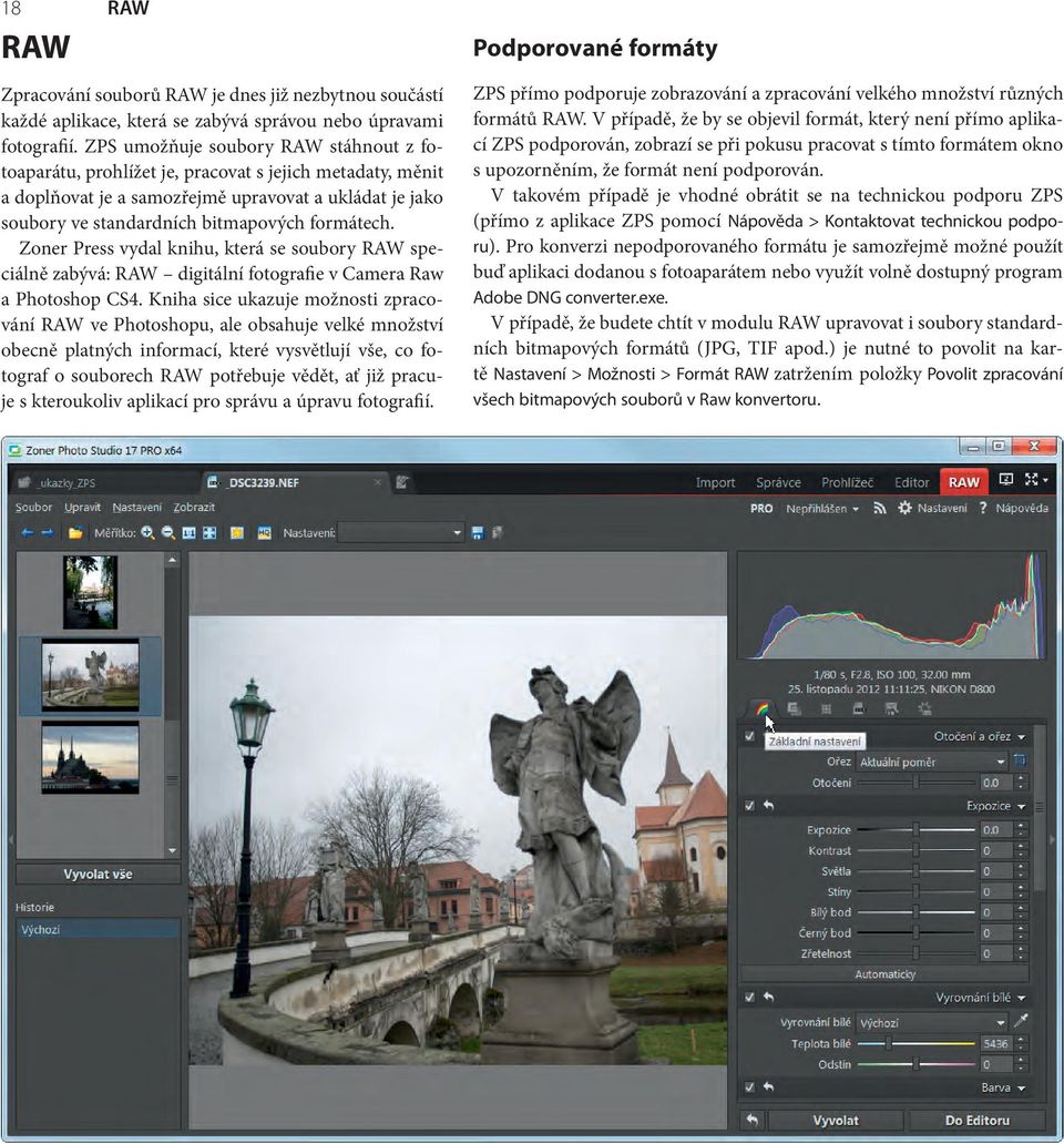 Zoner Press vydal knihu, která se soubory RAW speciálně zabývá: RAW digitální fotografie v Camera Raw a Photoshop CS4.