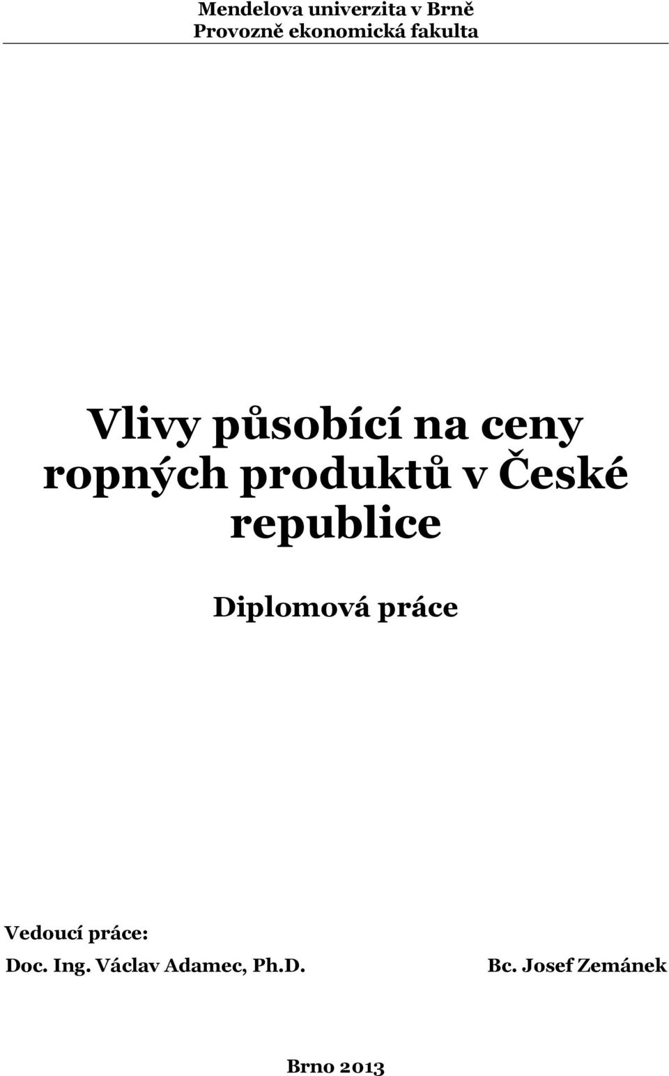 České republice Diplomová práce Vedoucí práce: Doc.